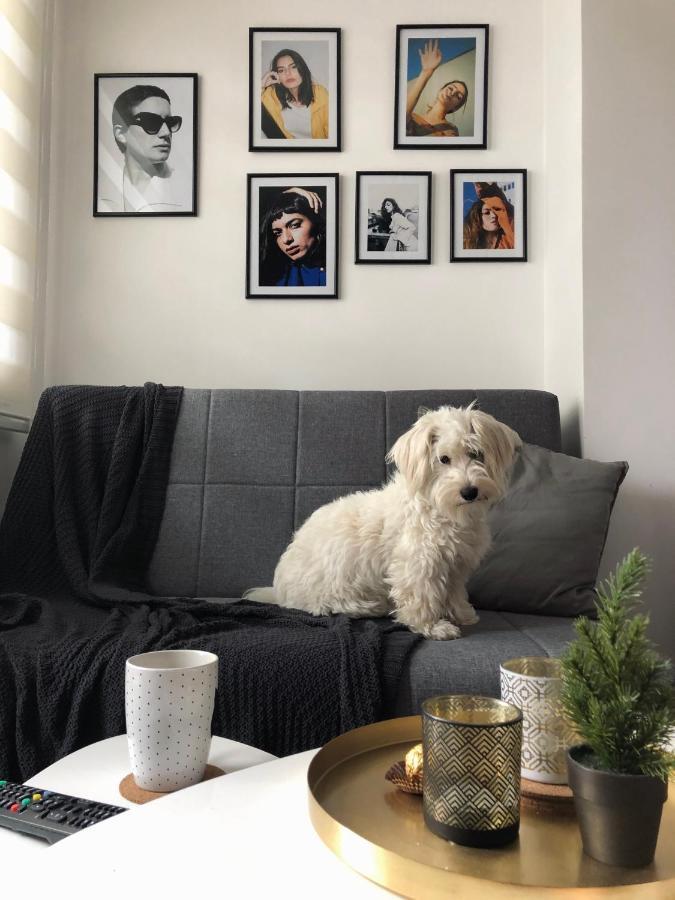 Coco Apartment *